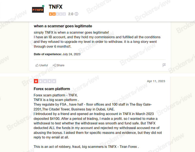 scam accusation about TNFX